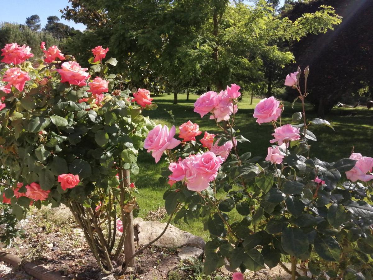 Le Tâtre Le Clos Beldane Bed & Breakfast エクステリア 写真